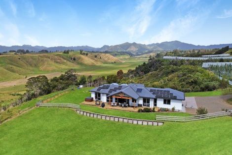 Photo of property in 245 Paerata Ridge Road, Waiotahe, Opotiki, 3198