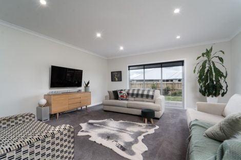 Photo of property in 15 Mcdonald Way, Lansdowne, Masterton, 5810