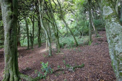 Photo of property in 137 Kiritaki Road, Dannevirke, 4972