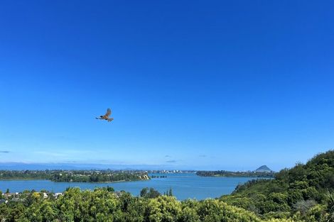 Photo of property in 52 Corinna Street, Welcome Bay, Tauranga, 3112