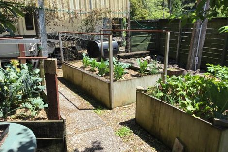 Photo of property in 162 Tapu Coroglen Road, Tapu, Thames, 3575