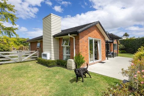 Photo of property in 58 Muriwai Road, Waimauku, 0812