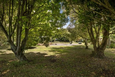 Photo of property in 49 Mangotahi Road, Thames, 3577