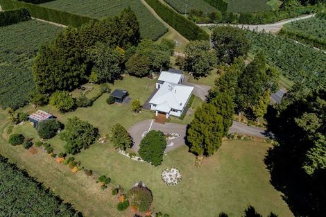 Photo of property in 271 No 2 Road, Te Puke, 3182