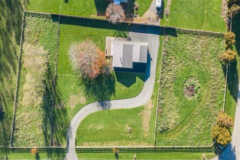 Photo of property in 8 Whelans Road, Levin, 5571