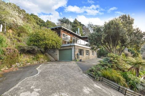 Photo of property in 51 Irvine Road, The Cove, Dunedin, 9077