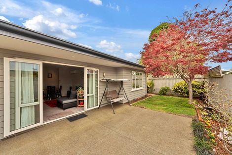 Photo of property in 17a Sumner Street, Spreydon, Christchurch, 8024