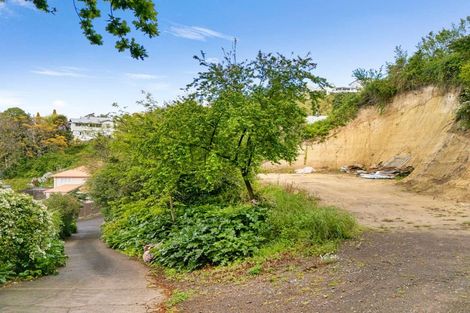 Photo of property in 13 Lucknow Terrace, Hospital Hill, Napier, 4110