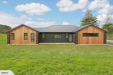 Photo of property in 290 Hunter Road, Patumahoe, Pukekohe, 2679