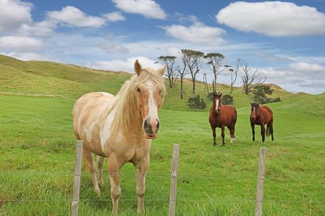 Photo of property in 569 Karioitahi Road, Lake Puketi, Waiuku, 2683