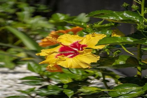 Photo of property in 8 Ngaire Way, Papamoa Beach, Papamoa, 3118