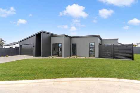 Photo of property in 31 Plains Avenue, Masterton, 5810