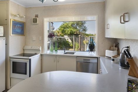 Photo of property in 28 D'arcy Street, Richmond, 7020