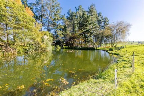 Photo of property in 194 Owairaka Valley Road, Parawera, Te Awamutu, 3877