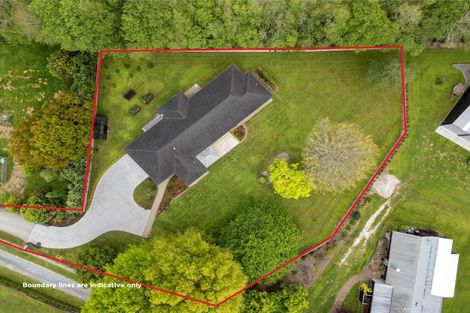 Photo of property in 29 Sheffield Street, Matamata, 3400