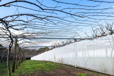 Photo of property in 154b Wairoa Road, Minden, Tauranga, 3171