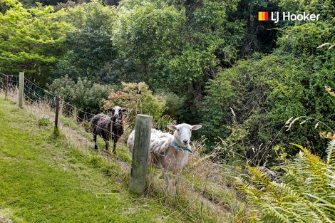 Photo of property in 4a Ronay Street, Bradford, Dunedin, 9011