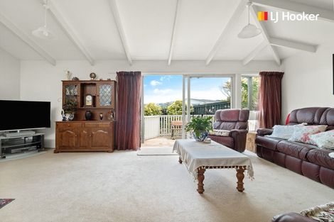 Photo of property in 9 Elliffe Place, Shiel Hill, Dunedin, 9013