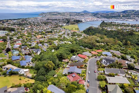 Photo of property in 9 Elliffe Place, Shiel Hill, Dunedin, 9013