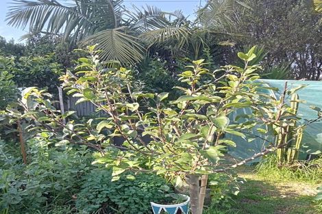 Photo of property in 40 Judea Road, Judea, Tauranga, 3110