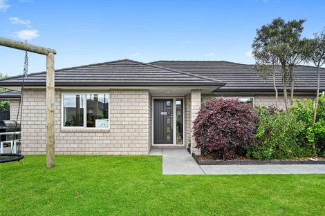 Photo of property in 20 Trauzer Place, Flagstaff, Hamilton, 3210