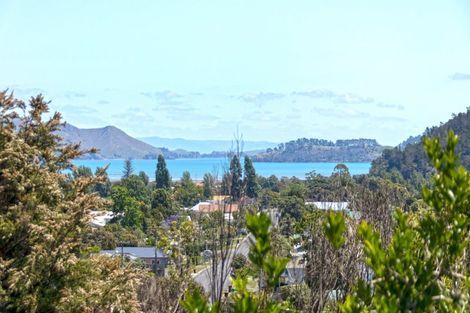 Photo of property in 80 Oxford Terrace, Coromandel, 3506