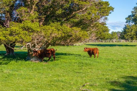 Photo of property in 151 Humphries Street, Woodside, Greytown, 5794