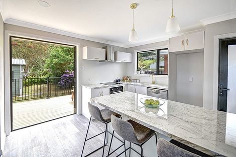 Photo of property in 111 Norwood Street, Normanby, Dunedin, 9010