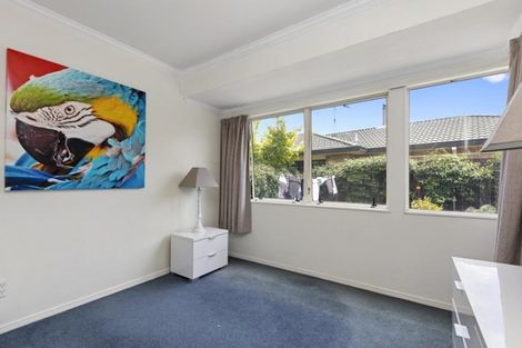 Photo of property in 5b Hibiscus Avenue, Mount Maunganui, 3116