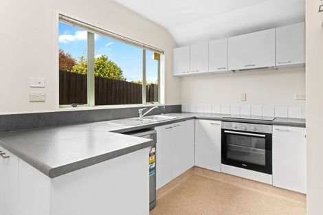 Photo of property in 20 Forth Street, Richmond, Christchurch, 8013