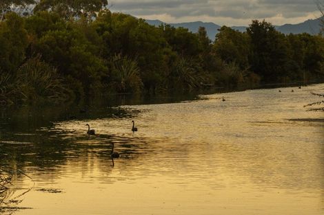 Photo of property in 21a Hardings Road, Riverlands, Blenheim, 7274