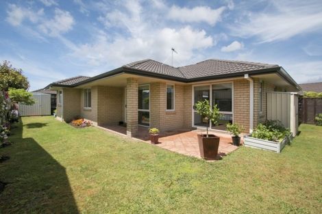 Photo of property in 20b Cresta Drive, Katikati, 3129