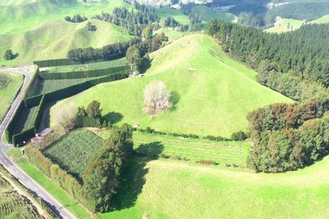 Photo of property in 809 Pikowai Road, Pikowai, Whakatane, 3194