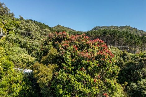 Photo of property in 402 Tuateawa Road, Tuateawa, Coromandel, 3583