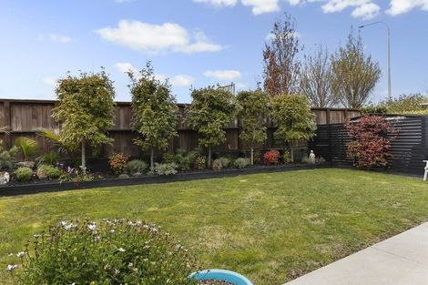 Photo of property in 19 Waiarohia Place, Hobsonville, Auckland, 0616