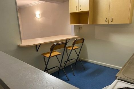 Photo of property in 223a The Terrace, Wellington Central, Wellington, 6011