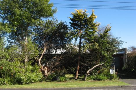 Photo of property in 24 Oxford Street, Marton, 4710