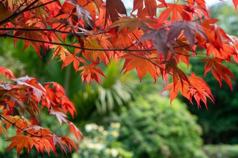 Photo of property in 101 Huia Street, Waikanae, 5391