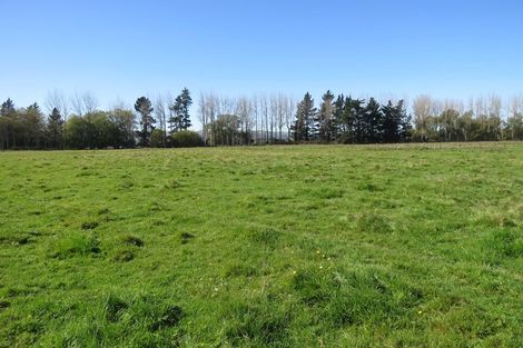 Photo of property in 141 Nixons Road, Fairlie, 7987