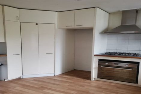 Photo of property in 18 Waiohua Road, Greenlane, Auckland, 1061