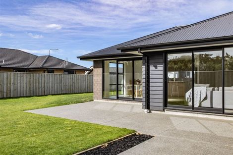 Photo of property in 55 Quinn Crescent, Woodend, 7610