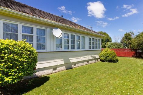 Photo of property in 172 Vogel Street, Roslyn, Palmerston North, 4414