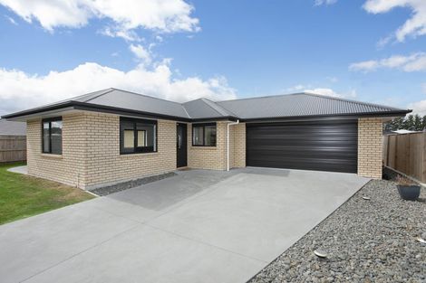 Photo of property in 17 Oldfield Lane, Marton, 4710