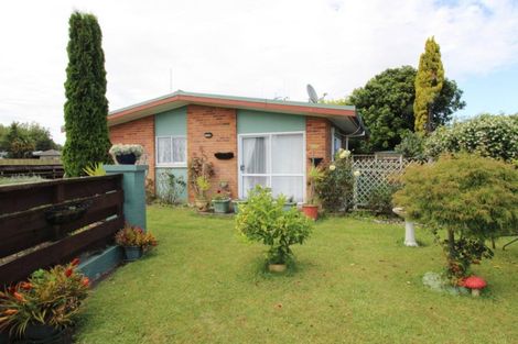 Photo of property in 55a Rawhiti Avenue, Matamata, 3400