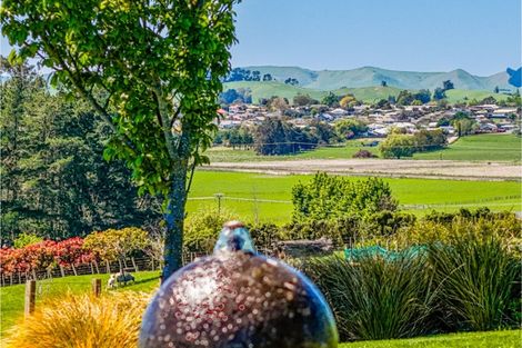 Photo of property in 38 Jg Wilson Drive, Waipukurau, 4281