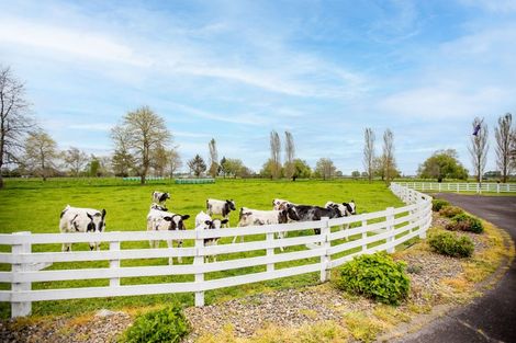 Photo of property in 976 State Highway 26, Eureka, Hamilton, 3286