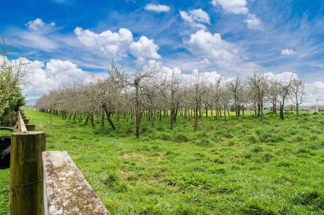 Photo of property in 110 Kells Lane, Lichfield, Putaruru, 3482