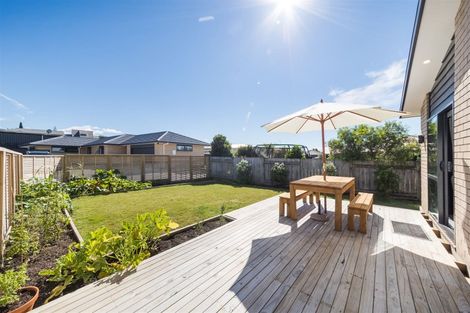 Photo of property in 5 Poplar Grove, Feilding, 4702