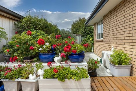 Photo of property in 7a Ida Street, Redwoodtown, Blenheim, 7201