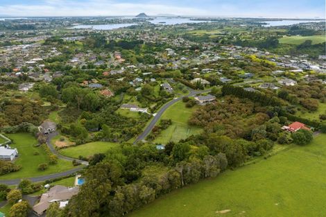 Photo of property in 3175l Ohauiti Road, Ohauiti, Tauranga, 3173
